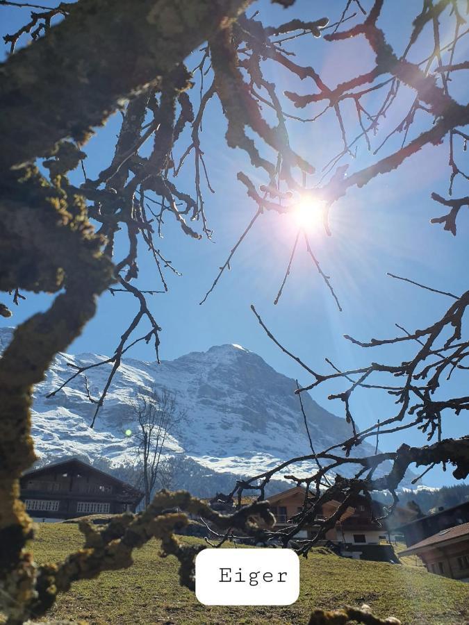 Chalet Waergistal Grindelwald Exterior photo