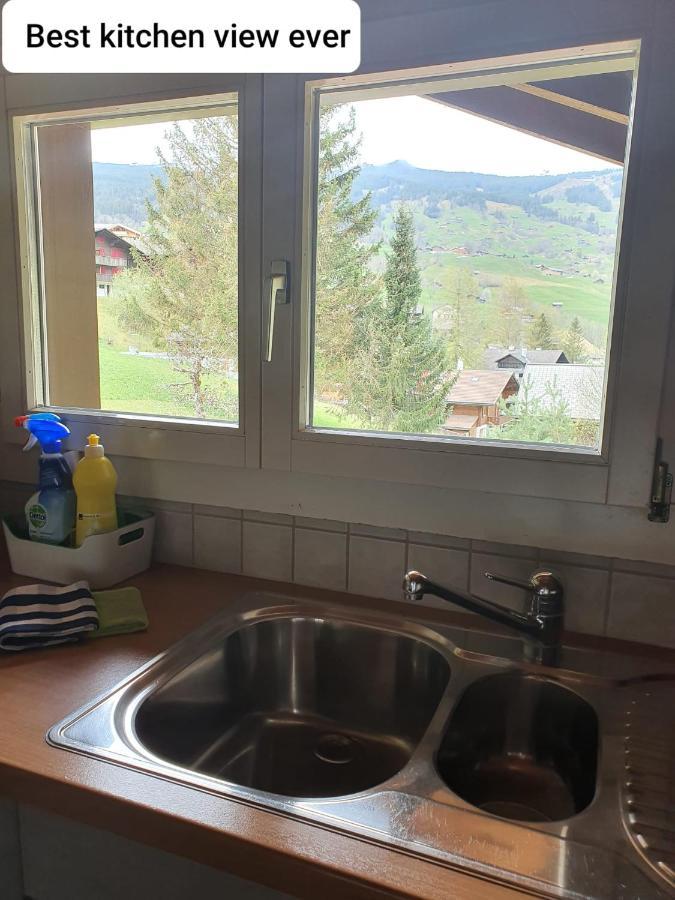Chalet Waergistal Grindelwald Exterior photo