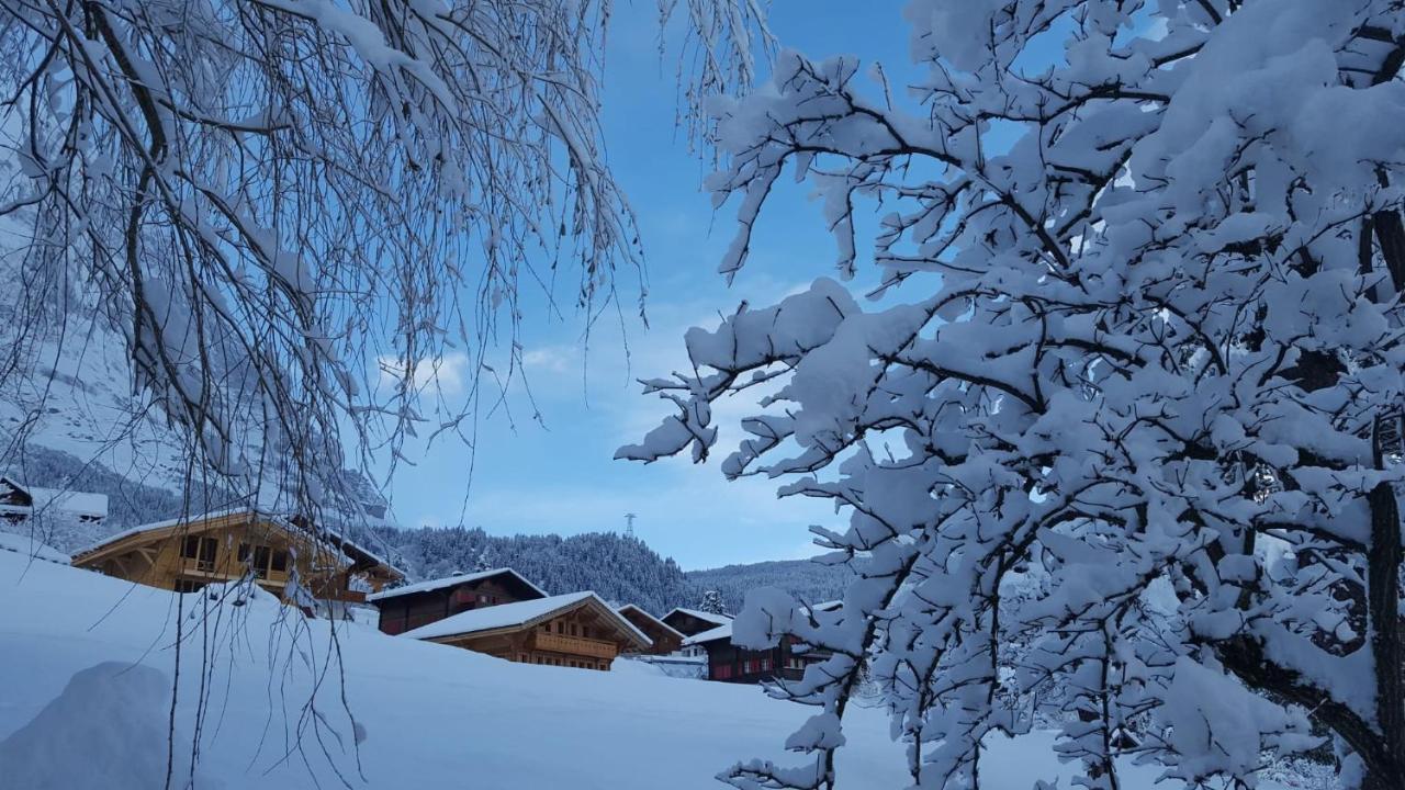 Chalet Waergistal Grindelwald Exterior photo