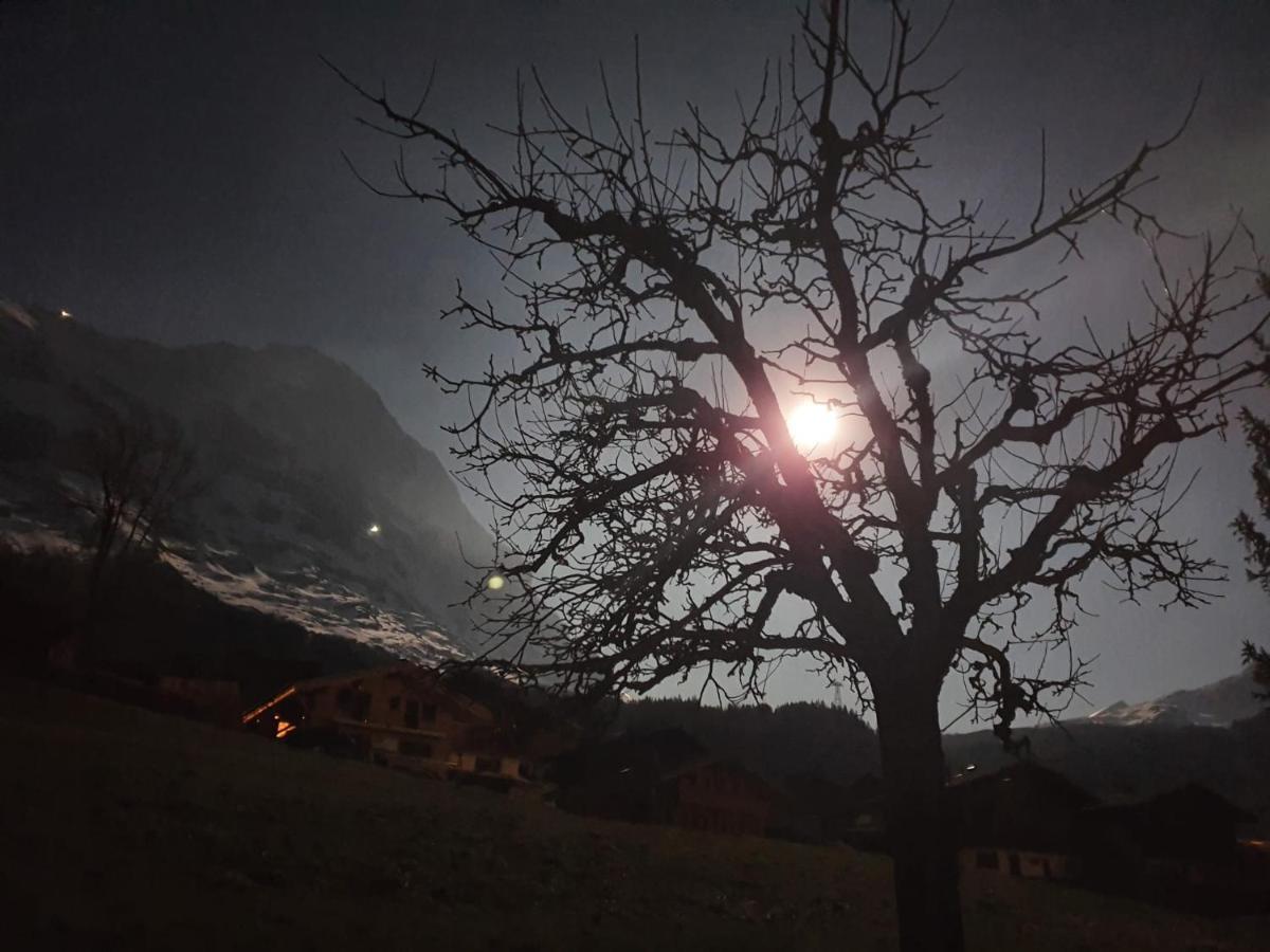 Chalet Waergistal Grindelwald Exterior photo